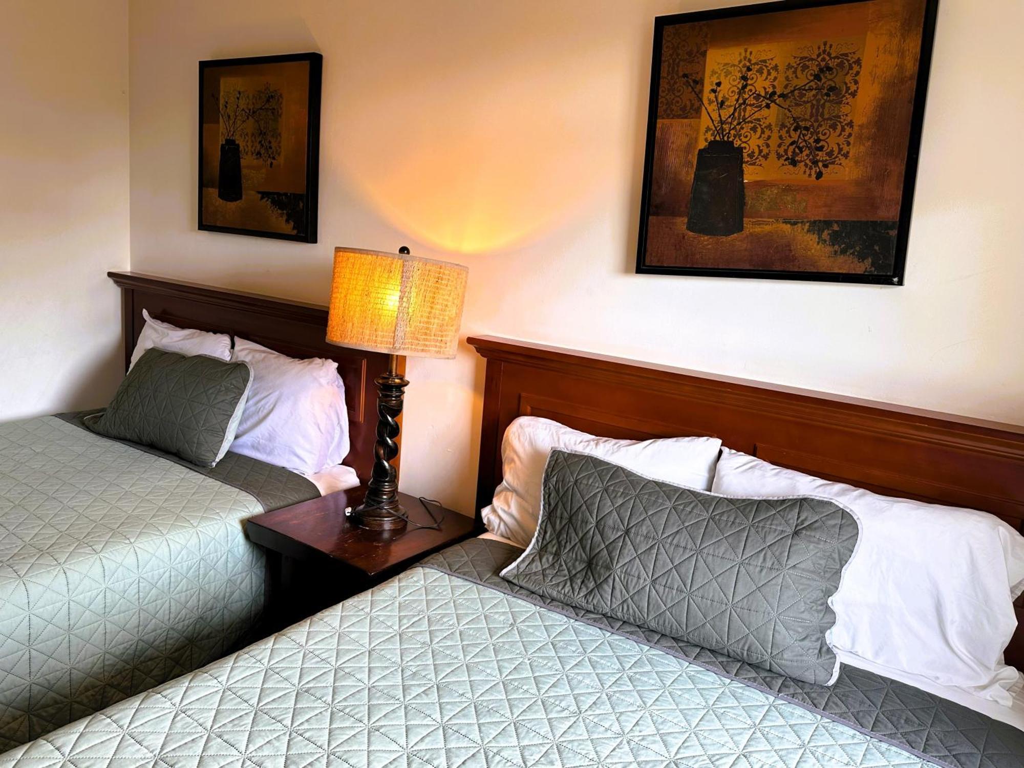 גואנאחואטו Casona San Cayetano Suites & Lofts By Sce מראה חיצוני תמונה